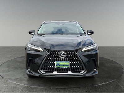 2024 Lexus NX 350h Luxury