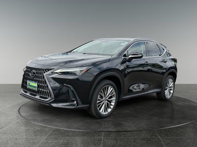 2024 Lexus NX 350h Luxury