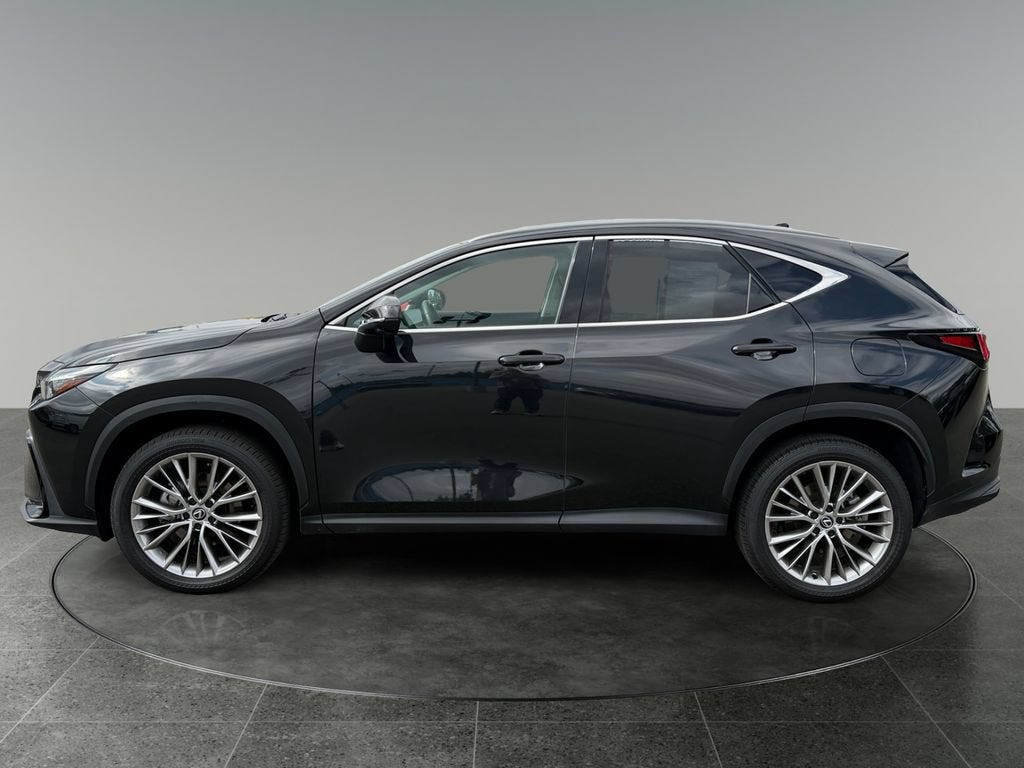 2024 Lexus NX 350h Luxury