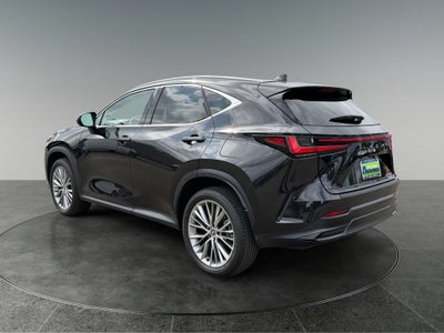 2024 Lexus NX 350h Luxury