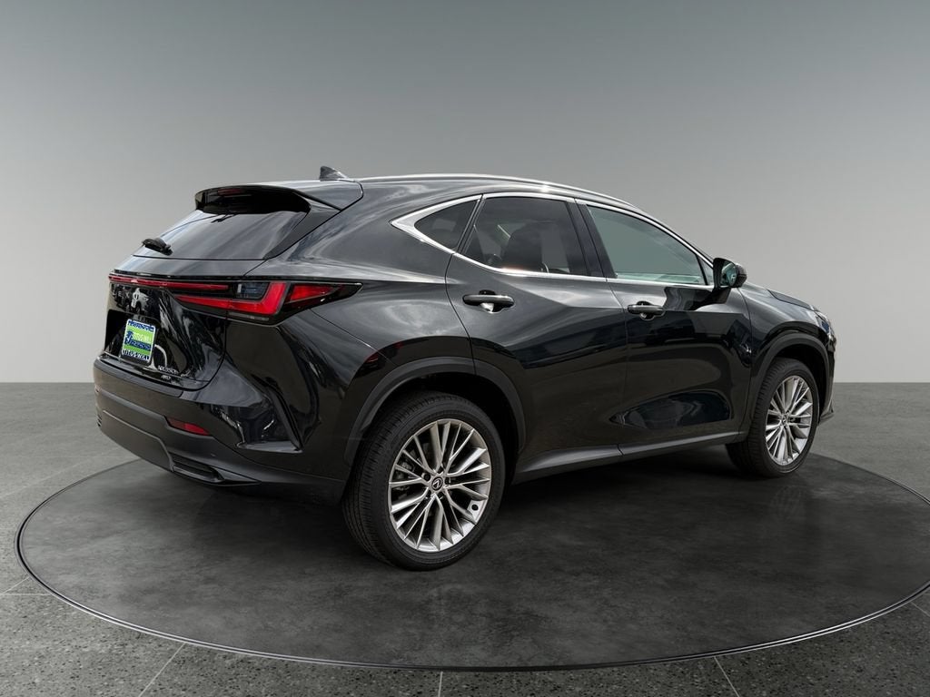 2024 Lexus NX 350h Luxury