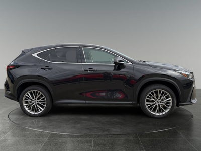 2024 Lexus NX 350h Luxury