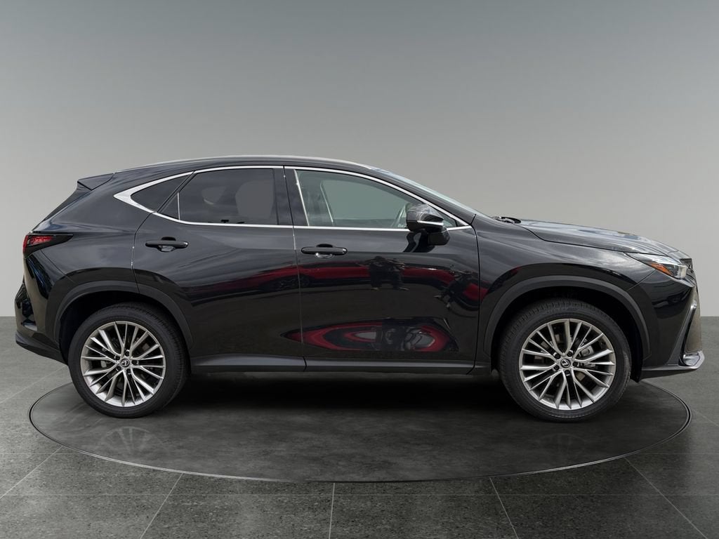 2024 Lexus NX 350h Luxury