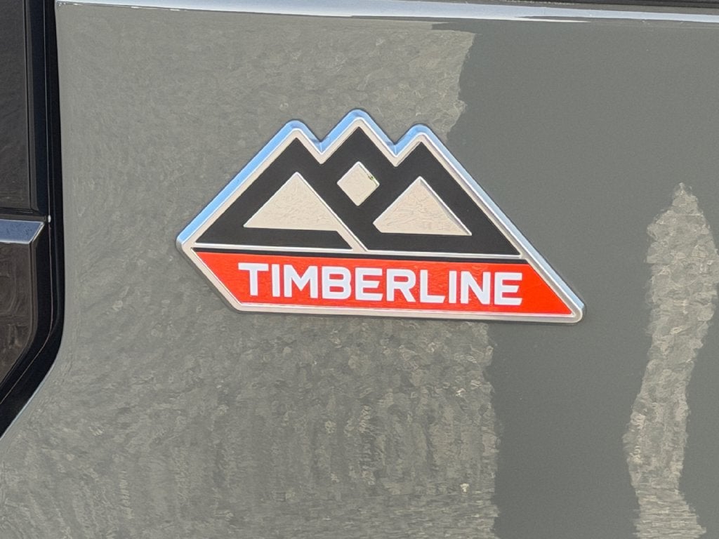 2024 Ford Expedition Timberline