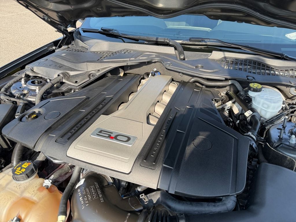 2019 Ford Mustang GT