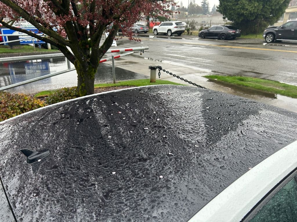 2019 Volkswagen Jetta GLI 35th Anniversary Edition