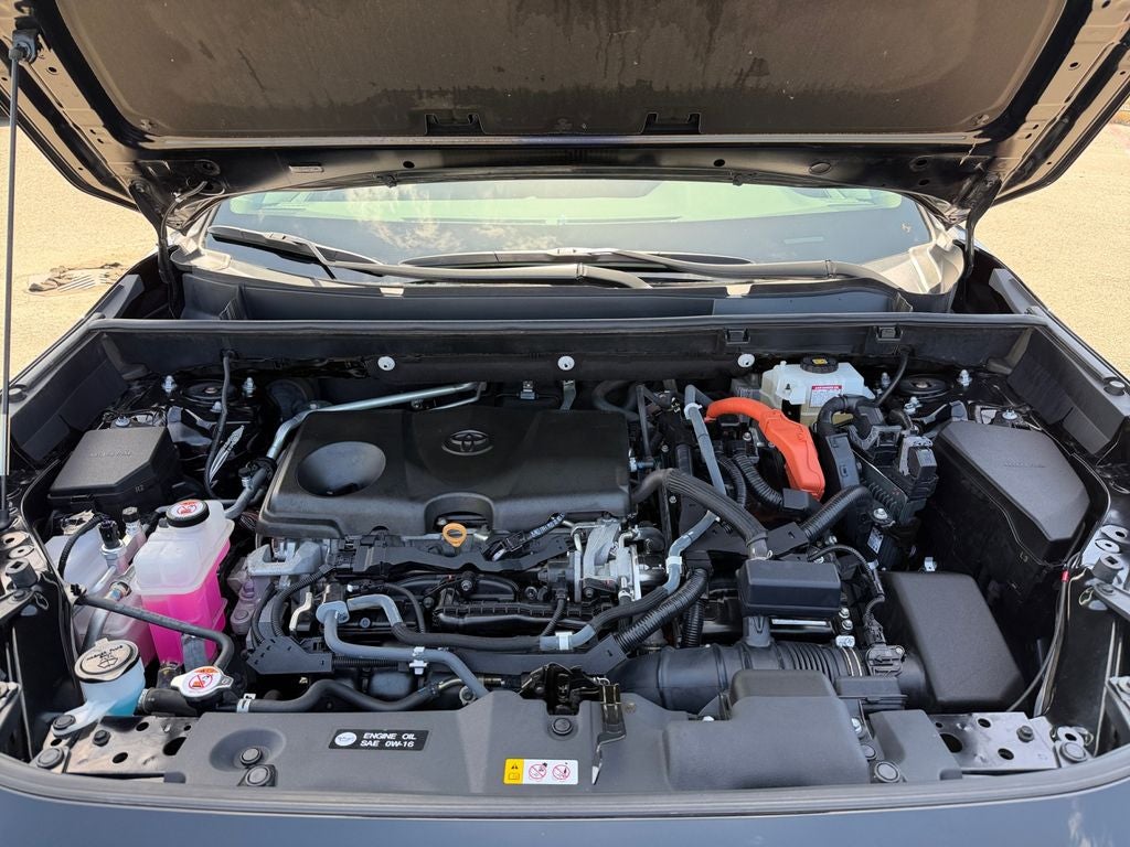 2019 Toyota RAV4 Hybrid XLE