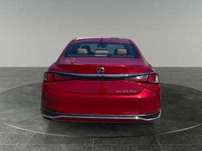 2021 Lexus ES 250