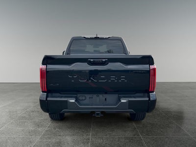 2023 Toyota TUNDRA 4X4 Platinum