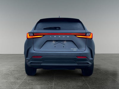 2024 Lexus NX 350 Premium