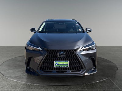 2024 Lexus NX 350h Premium