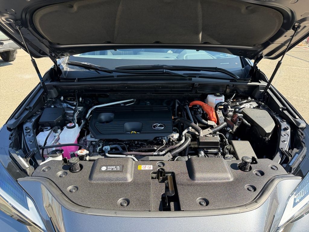 2024 Lexus NX 350h Premium