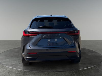 2024 Lexus NX 350h Premium