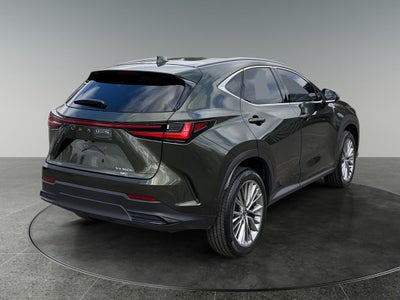 2024 Lexus NX HYBRID 350h Luxury