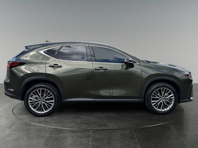 2024 Lexus NX HYBRID 350h Luxury