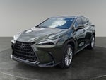 2024 Lexus NX HYBRID 350h Luxury