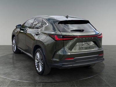 2024 Lexus NX HYBRID 350h Luxury