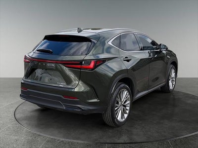 2024 Lexus NX HYBRID 350h Luxury