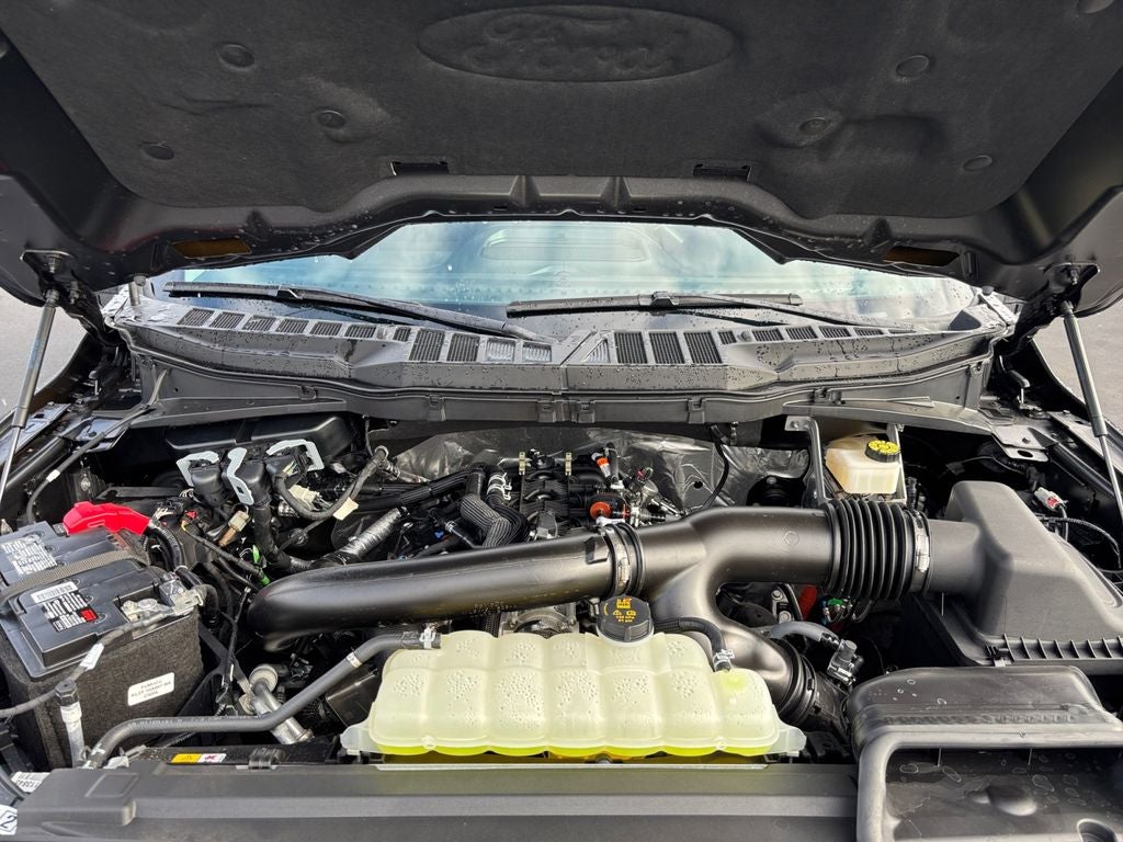 2024 Ford F-150 XLT Lifted